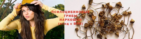 мдма Кулебаки