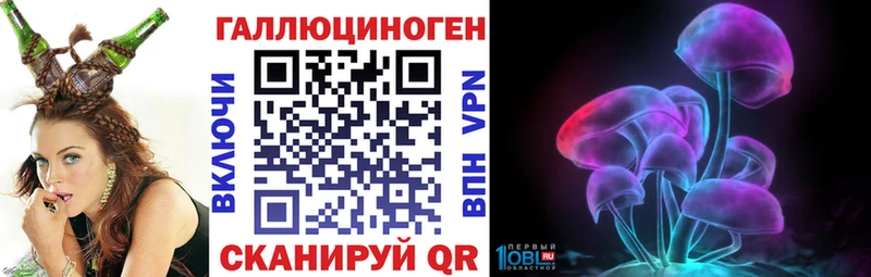OMG как зайти  Михайловка  Галлюциногенные грибы Magic Shrooms 